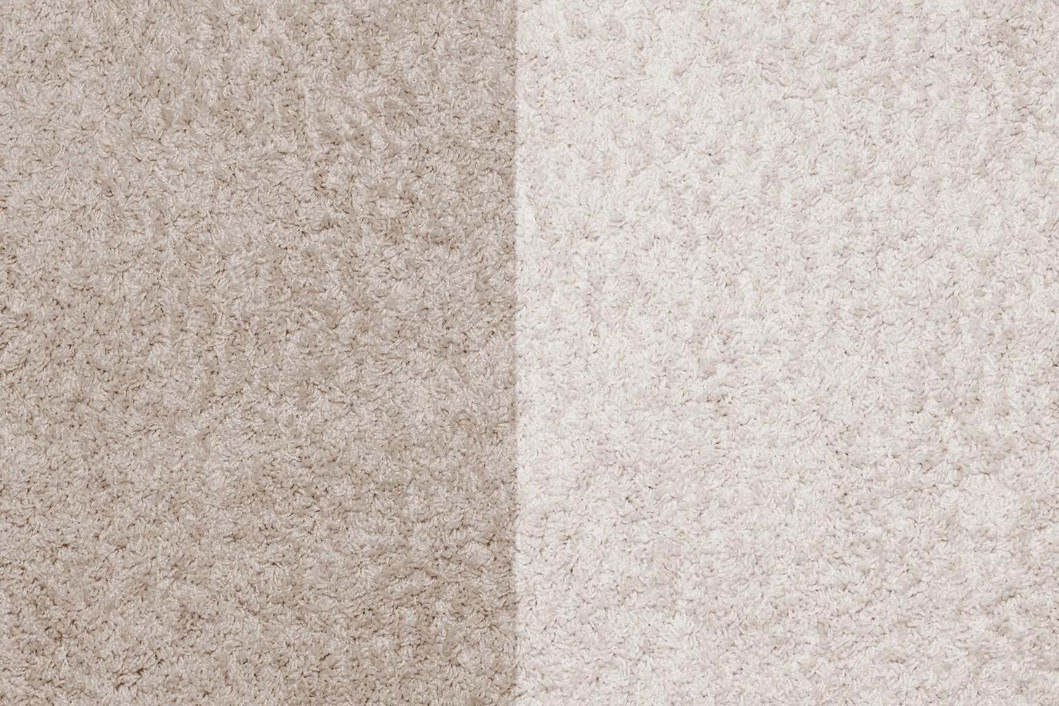 Carpet cleaning in Forest Hills, SC