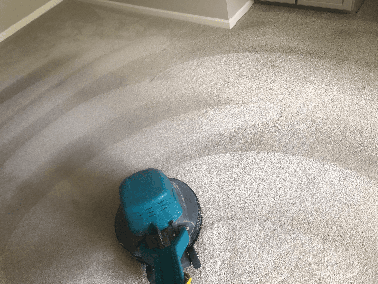 Carpet cleaning in Rosewood, SC