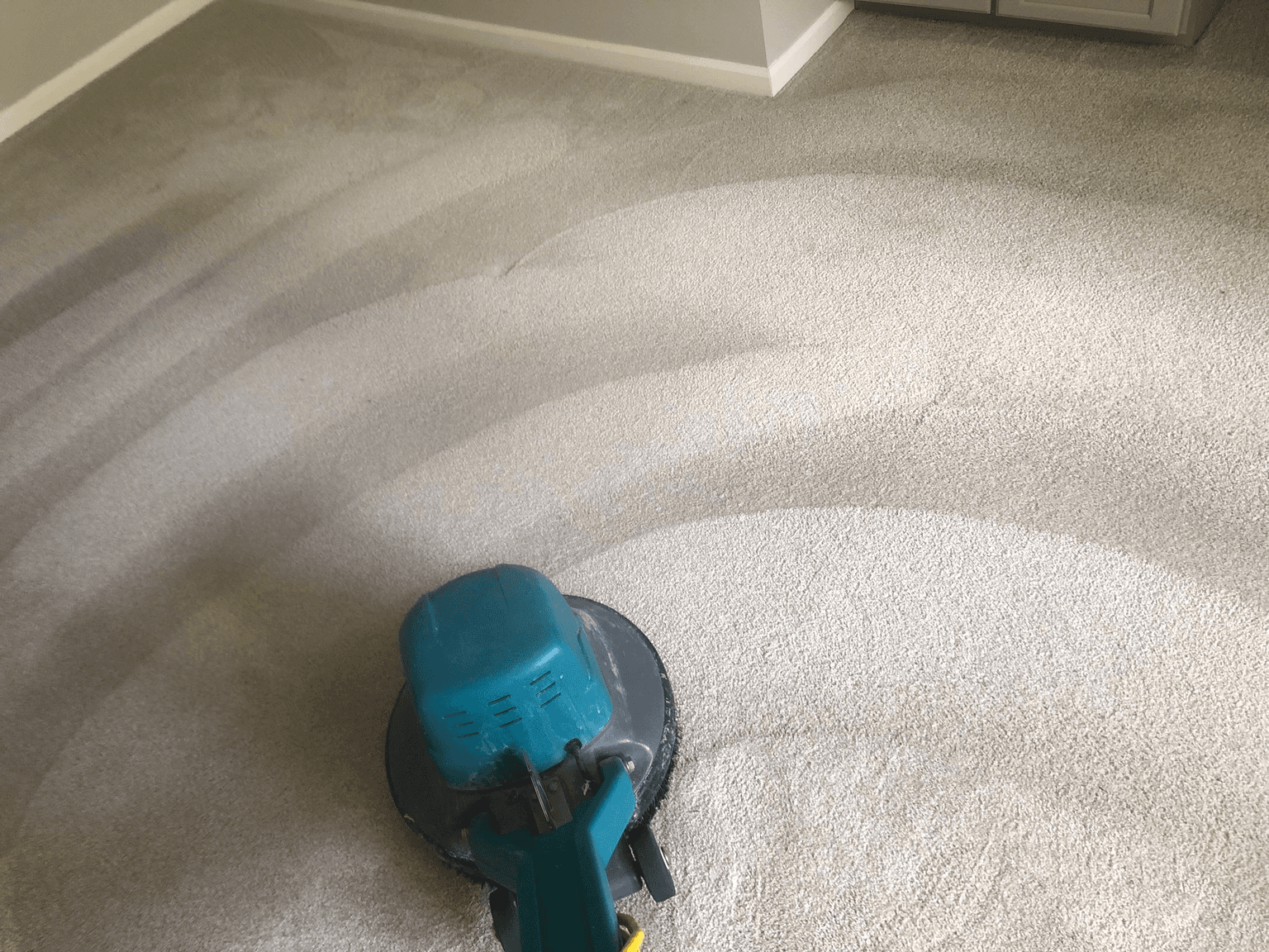 Carpet cleaning in Shandon, SC
