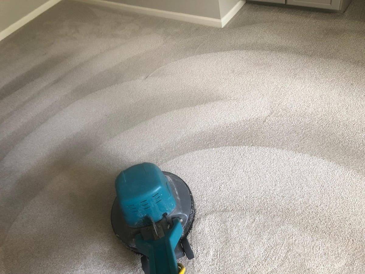 How Often Should You Deep-Clean Your Carpet?