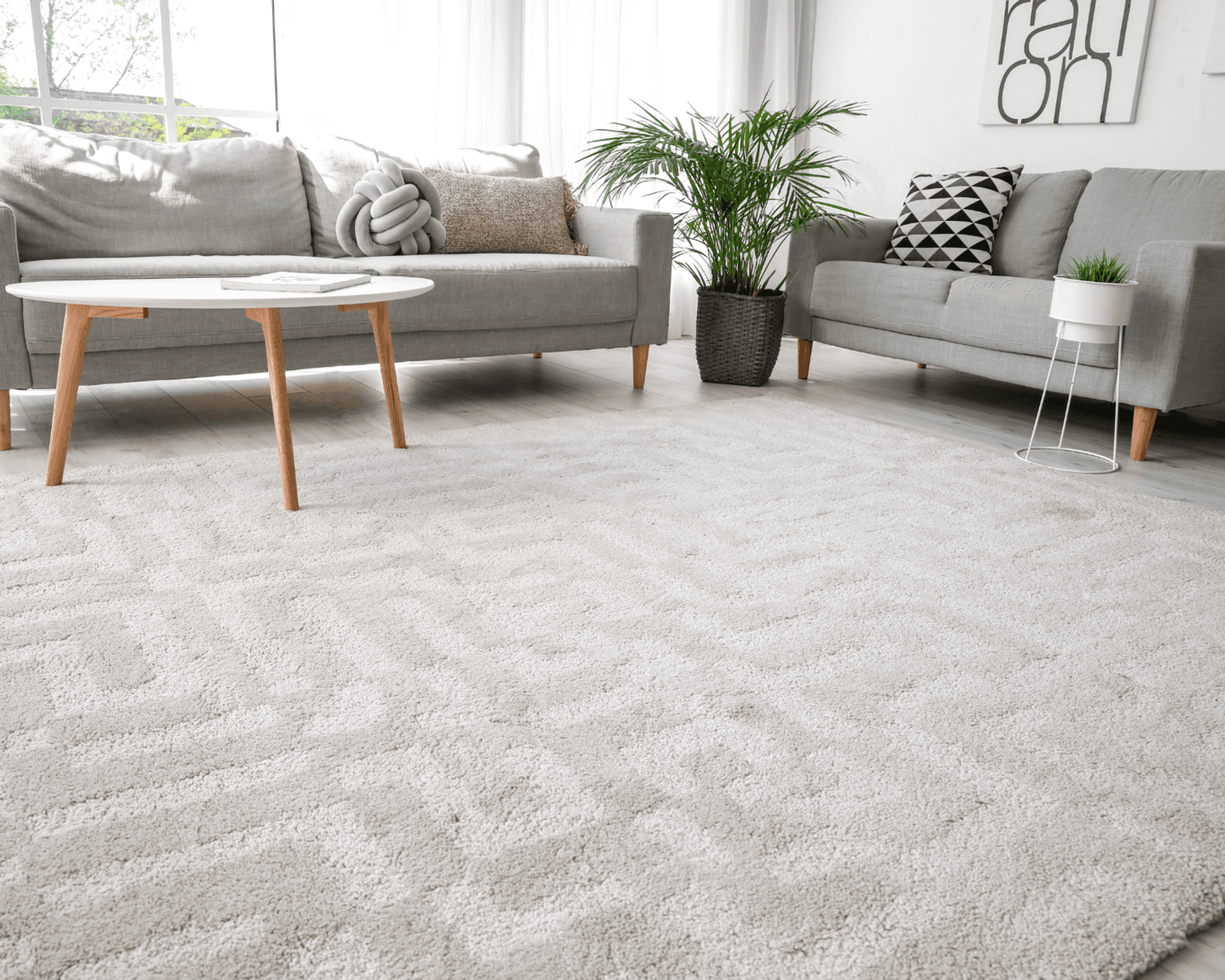 Area Rug Cleaning