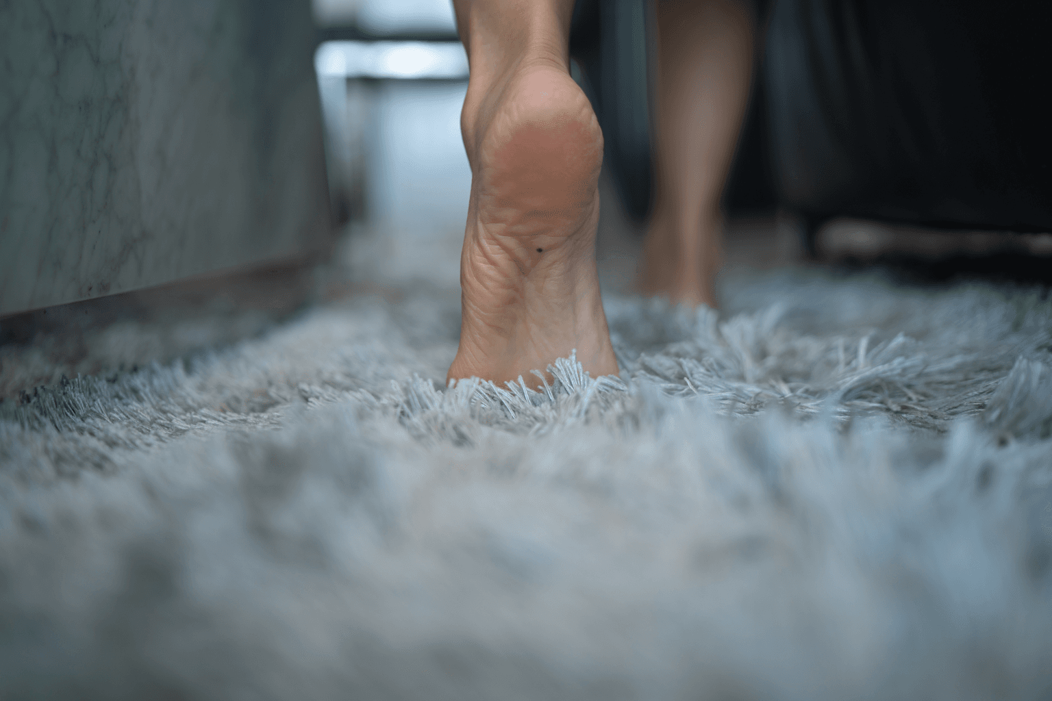 Carpet Cleaning