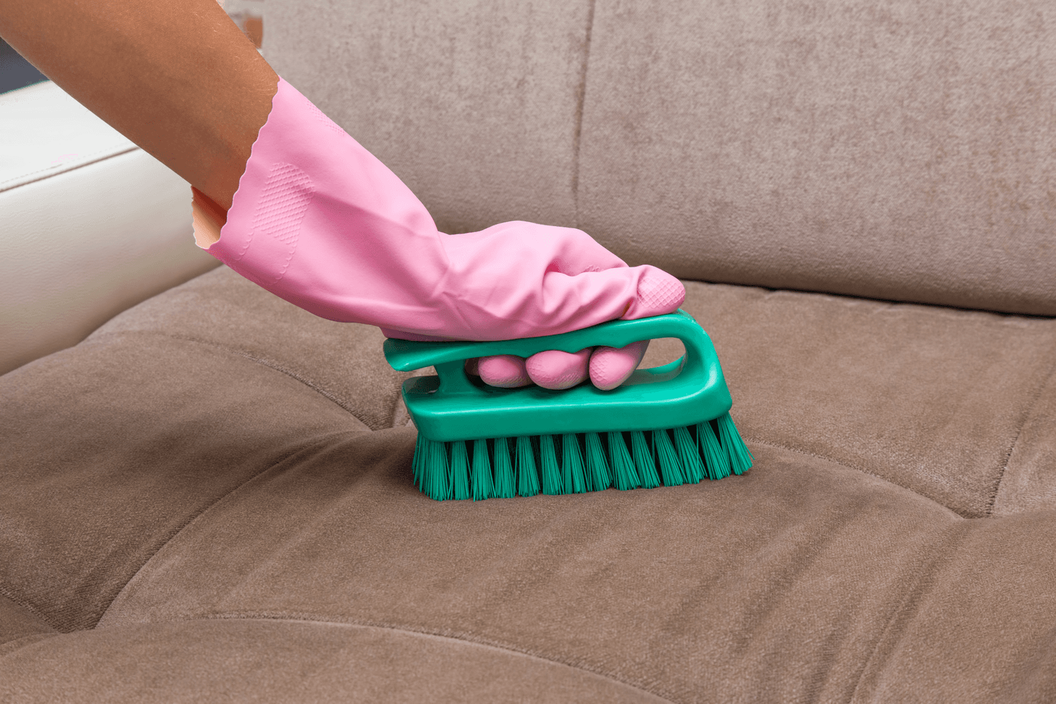 Upholstery Cleaning in Forest Acres SC